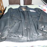 Lederjacke Herren Gr. 60 Niedersachsen - Gifhorn Vorschau