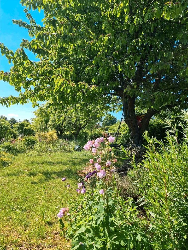 Kleingarten Beteiligung in Göttingen