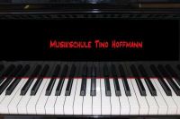 Professioneller Klavierunterricht Sachsen-Anhalt - Halle Vorschau