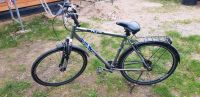 Herren Fahrrad Terra FOX TFX 120 Schleswig-Holstein - Negernbötel Vorschau