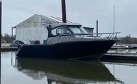 AluForce F750 HT Aluboot Aluminiumboot Angelboot Pilothouse Schleswig-Holstein - Bargteheide Vorschau