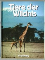 Dr. Siegfried Schmitz: Tiere der Wildnis Rheinland-Pfalz - Bad Dürkheim Vorschau