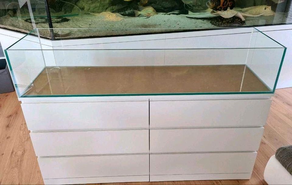 160x48x30 Aquarium 230l für IKEA Malm L-Wels Axolotl Meerwasser in Bad Nenndorf