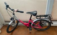 Falter FX203 pink *TOP* Fahrrad Hessen - Usingen Vorschau