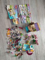 Lego Friends Paket Schleswig-Holstein - Schönberg (Holstein) Vorschau