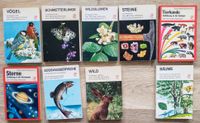 Bunte Delphin Bücherei, Sammlung, 30 Bücher Nordrhein-Westfalen - Bad Münstereifel Vorschau