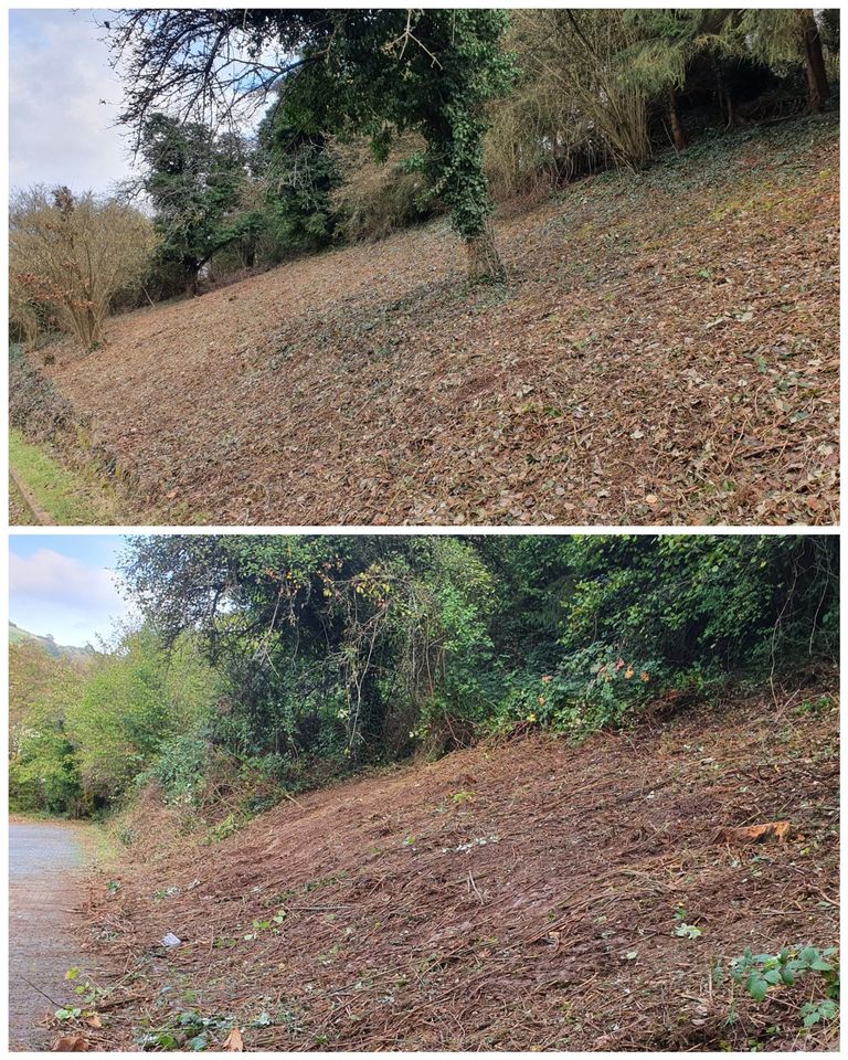 Gartenpflege, Baumfällung, Rodung, Winterdienst in Wolfstein