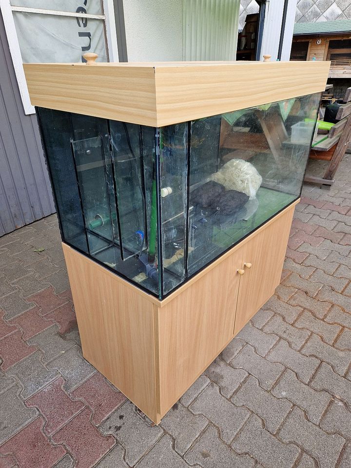 Aquarium mit Unterschrank + Abdeckung 250 Liter in Lahntal