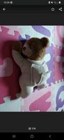 Teddybär Herztöne Teddy Bär Baby Nordrhein-Westfalen - Wetter (Ruhr) Vorschau