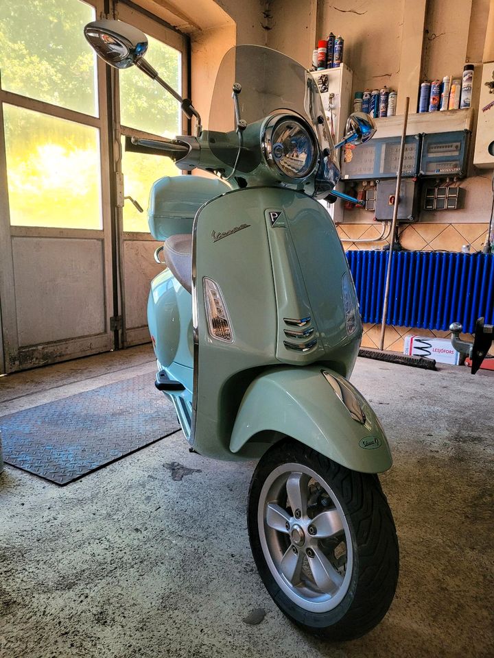 Vespa Primavera 50 2t Verde Relax Koffer in Elterlein