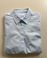 Lacoste Bluse 40 Hellblau Nordrhein-Westfalen - Rösrath Vorschau