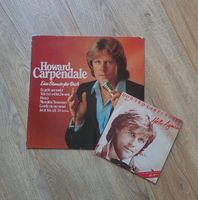 Howard Carpendale Schallplatte / Vinyl - Eine Stunde für Dich Schleswig-Holstein - Wankendorf Vorschau
