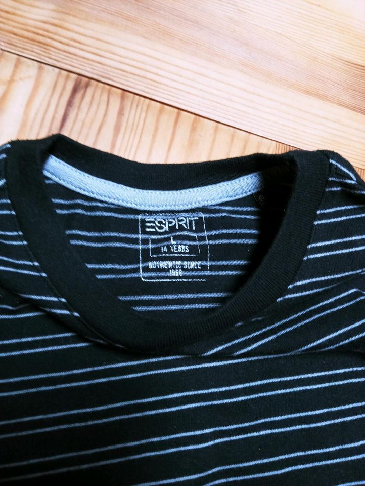 NEUWERTIG!! "ESPRIT " Jungen-Longsleeve Gr.164 in Mücke