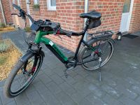 E-Bike / Pedelec: Haibike, SDURO Trekking 8.0, grün, 27,5'' Niedersachsen - Cloppenburg Vorschau