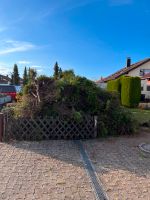 Heckenrodung | Hecke entfernen | Rodungsarbeiten Hecken schneiden Baden-Württemberg - St. Georgen Vorschau