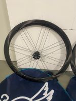 Campagnolo BORA ULTRA WTO 45 DB 2WF Laufradsatz Münster (Westfalen) - Hiltrup Vorschau