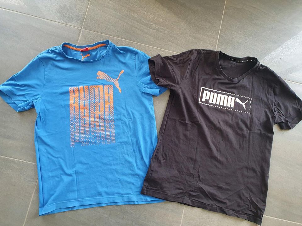 2 Herren T Shirts von Puma Gr. 48 / 50 Gr.  M Shirt in Braunschweig