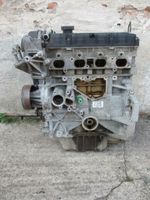 Motor ohne Anbauteile SIDA Ford Focus II Turnier 1.6Ti 85KW/115PS Sachsen-Anhalt - Löbnitz an der Linde Vorschau