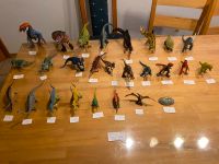 Schleich Dinosaurier 26 x (auch einzeln erhältlich) Hessen - Freiensteinau Vorschau