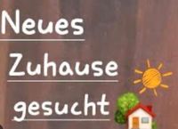 Gesucht: Zimmer oder Wohnung zum Pendeln bei Zwiefalten oder umge Baden-Württemberg - Zwiefalten Vorschau