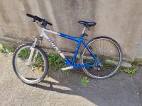4 Fahrräder Damen und Herren lila, blau, schwarz Stück Hessen - Gießen Vorschau