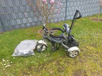 Ramiz Dreirad Kinderwagen Nordrhein-Westfalen - Marl Vorschau