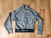 Calvin Klein Damen Sweatjacke grau Größe XS Thüringen - Wüstheuterode Vorschau