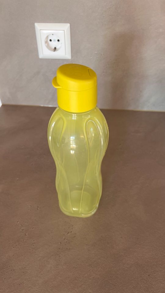 Tupperware To Go Eco 500ml grün in Ludwigsburg