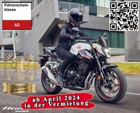 Motorrad mieten-Vermietung-Verleih Honda CB500 Hornet / ab109€ Nordrhein-Westfalen - Nettetal Vorschau