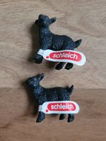 Schleich  "Zicklein Schwarz"   ..im Set   ..Neuwertig Sachsen-Anhalt - Wernigerode Vorschau