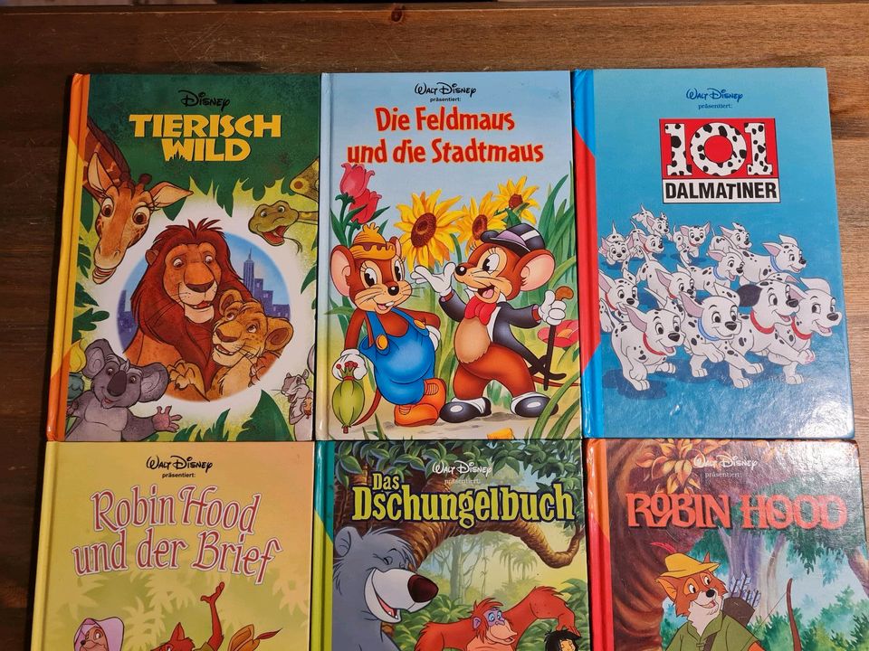 Walt Disney Kinder Bücher (Top Zustand) in Dorsten