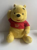 Disney sprechender Winnie Pooh 28cm Plüschtier Fisher Price 2009 Rodenkirchen - Sürth Vorschau