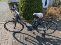 E-Bike Kreidler 28 Zoll blau matt Nordrhein-Westfalen - Rietberg Vorschau