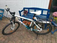 Damenrad Mountainbike Niedersachsen - Barendorf Vorschau