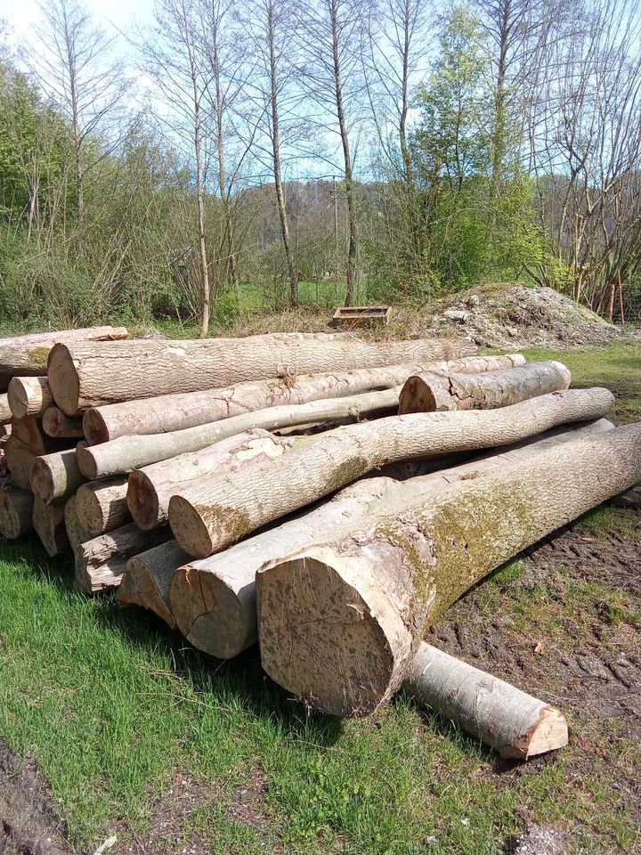 Brennholz ab 50 Euro/ Ster in Tittmoning