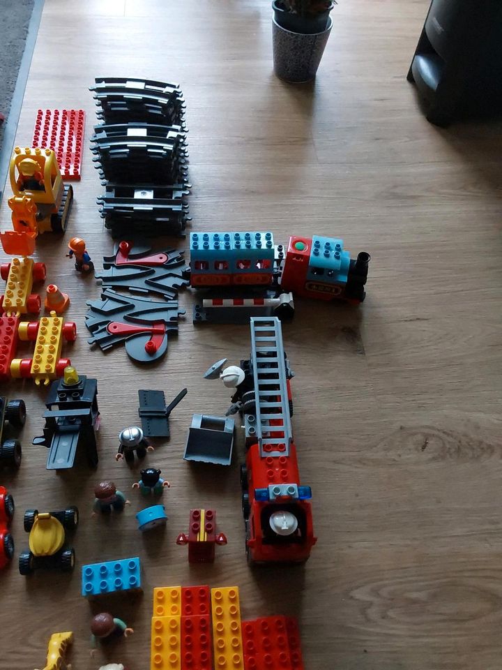 Lego Duplo Mega Sammlung in Bruchköbel