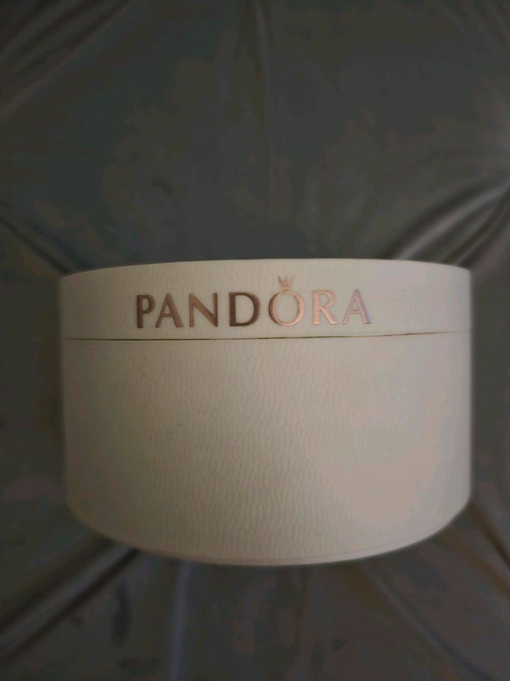 Pandora  Geschenkbox Charms Box Armband in Wusterwitz