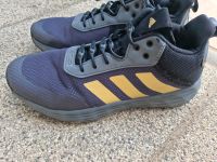Adidas Sneaker, schwarz/ gold  Gr.39 Brandenburg - Ahrensfelde Vorschau
