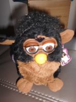 Original Furby mit Etikett Bayern - Puchheim Vorschau