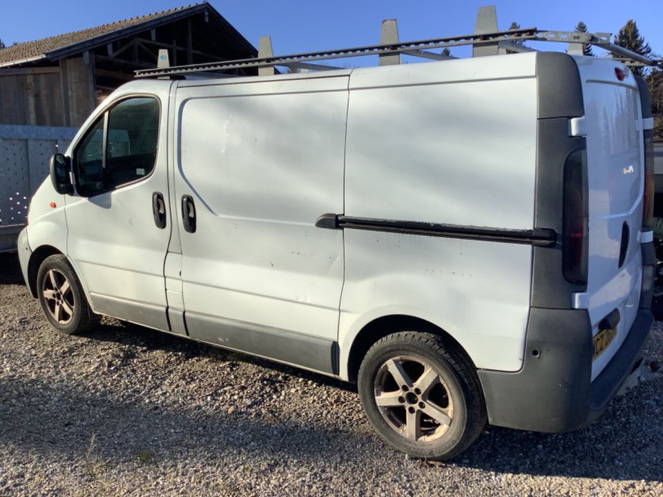 Renault Trafic in Petting