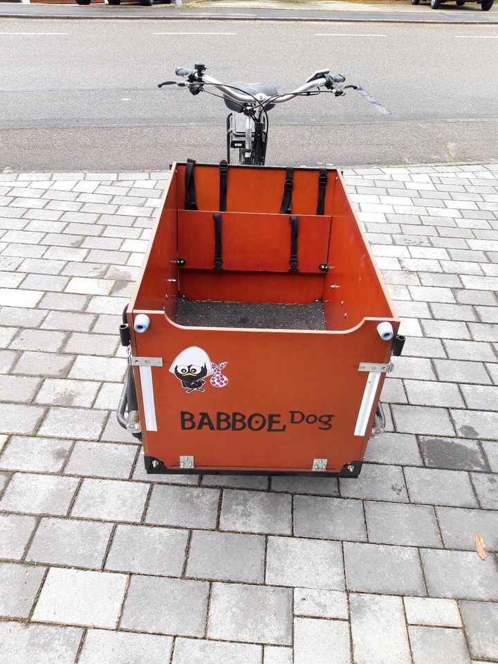 Babboe Dog Lastenrad top Zustand in Leutenbach