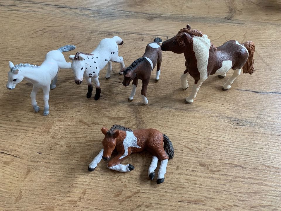 5 Schleich Pferde bzw. Fohlen in Emsdetten