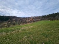 Wiesen zum Pachten Bayern - Neunkirchen am Sand Vorschau