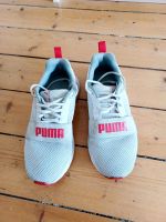 Puma Sneaker weiß Turnschuhe Wandsbek - Hamburg Dulsberg Vorschau