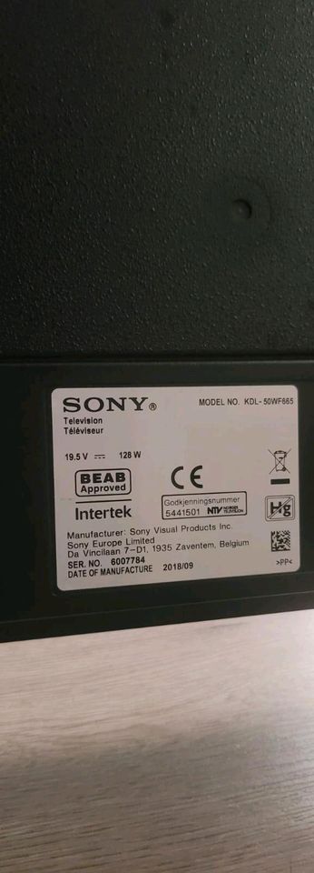 Smart TV Sony defekt in Ennigerloh