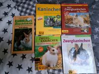 Konvolut Kaninchen Bücher Ludwigslust - Landkreis - Hagenow Vorschau
