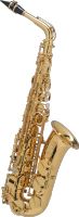 SELMER Axos Altsaxophon, Neuware Müritz - Landkreis - Rechlin Vorschau