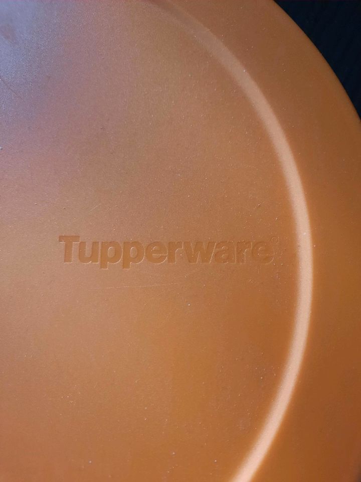 Tupperware Essenbehälter in Berlin