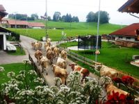 Ferienwohnung Allgäu ⭐️ 4km v. ⭐️ Oberstdorf ⭐️ Frei⭐️ Bayern - Sonthofen Vorschau