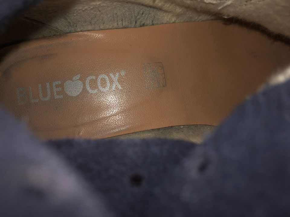 Lässig-coole Stiefeletten von Blue-Cox in Kolbermoor